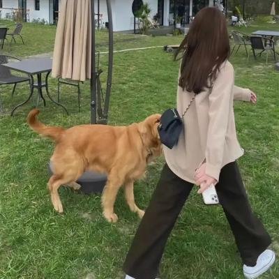 阿虎